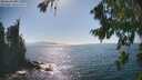./images/koeye/fitz-hugh/20260820/fitz-hugh20260820_162501M.jpg