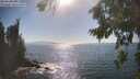 ./images/koeye/fitz-hugh/20260820/fitz-hugh20260820_164501M.jpg