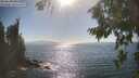 ./images/koeye/fitz-hugh/20260820/fitz-hugh20260820_165001M.jpg