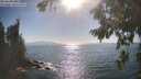 ./images/koeye/fitz-hugh/20260820/fitz-hugh20260820_171001M.jpg