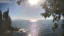 ./images/koeye/fitz-hugh/20260820/fitz-hugh20260820_171501M.jpg