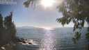 ./images/koeye/fitz-hugh/20260820/fitz-hugh20260820_172001M.jpg