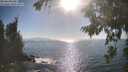 ./images/koeye/fitz-hugh/20260820/fitz-hugh20260820_172501M.jpg