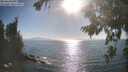 ./images/koeye/fitz-hugh/20260820/fitz-hugh20260820_173501M.jpg