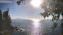 ./images/koeye/fitz-hugh/20260820/fitz-hugh20260820_174001M.jpg
