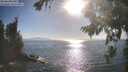 ./images/koeye/fitz-hugh/20260820/fitz-hugh20260820_174501M.jpg