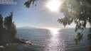 ./images/koeye/fitz-hugh/20260820/fitz-hugh20260820_175002M.jpg