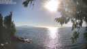 ./images/koeye/fitz-hugh/20260820/fitz-hugh20260820_175501M.jpg