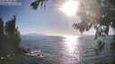 ./images/koeye/fitz-hugh/20260820/fitz-hugh20260820_180002M.jpg