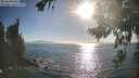 ./images/koeye/fitz-hugh/20260820/fitz-hugh20260820_180501M.jpg