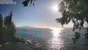 ./images/koeye/fitz-hugh/20260820/fitz-hugh20260820_181001M.jpg