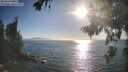 ./images/koeye/fitz-hugh/20260820/fitz-hugh20260820_181501M.jpg