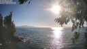 ./images/koeye/fitz-hugh/20260820/fitz-hugh20260820_182001M.jpg