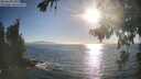 ./images/koeye/fitz-hugh/20260820/fitz-hugh20260820_182501M.jpg