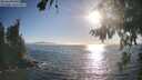 ./images/koeye/fitz-hugh/20260820/fitz-hugh20260820_183001M.jpg