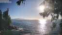 ./images/koeye/fitz-hugh/20260820/fitz-hugh20260820_183501M.jpg