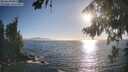 ./images/koeye/fitz-hugh/20260820/fitz-hugh20260820_184001M.jpg