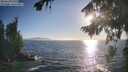 ./images/koeye/fitz-hugh/20260820/fitz-hugh20260820_184501M.jpg