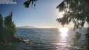 ./images/koeye/fitz-hugh/20260820/fitz-hugh20260820_185001M.jpg