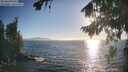./images/koeye/fitz-hugh/20260820/fitz-hugh20260820_185501M.jpg