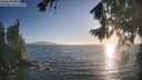 ./images/koeye/fitz-hugh/20260820/fitz-hugh20260820_192001M.jpg