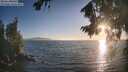 ./images/koeye/fitz-hugh/20260820/fitz-hugh20260820_193501M.jpg