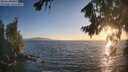 ./images/koeye/fitz-hugh/20260820/fitz-hugh20260820_200002M.jpg