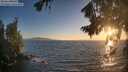 ./images/koeye/fitz-hugh/20260820/fitz-hugh20260820_200501M.jpg