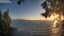 ./images/koeye/fitz-hugh/20260820/fitz-hugh20260820_201001M.jpg
