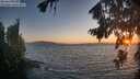 ./images/koeye/fitz-hugh/20260820/fitz-hugh20260820_203502M.jpg