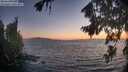 ./images/koeye/fitz-hugh/20260820/fitz-hugh20260820_205002M.jpg