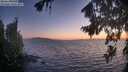 ./images/koeye/fitz-hugh/20260820/fitz-hugh20260820_210001M.jpg