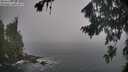./images/koeye/fitz-hugh/20260821/fitz-hugh20260821_080502M.jpg