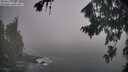 ./images/koeye/fitz-hugh/20260821/fitz-hugh20260821_085002M.jpg