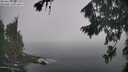 ./images/koeye/fitz-hugh/20260821/fitz-hugh20260821_100001M.jpg