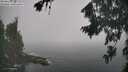 ./images/koeye/fitz-hugh/20260821/fitz-hugh20260821_102501M.jpg