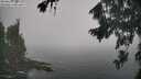 ./images/koeye/fitz-hugh/20260821/fitz-hugh20260821_103001M.jpg