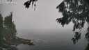 ./images/koeye/fitz-hugh/20260821/fitz-hugh20260821_103501M.jpg