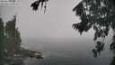 ./images/koeye/fitz-hugh/20260821/fitz-hugh20260821_104001M.jpg