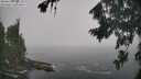 ./images/koeye/fitz-hugh/20260821/fitz-hugh20260821_104502M.jpg