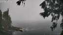 ./images/koeye/fitz-hugh/20260821/fitz-hugh20260821_110501M.jpg
