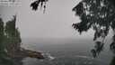 ./images/koeye/fitz-hugh/20260821/fitz-hugh20260821_111001M.jpg