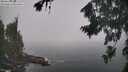 ./images/koeye/fitz-hugh/20260821/fitz-hugh20260821_112501M.jpg