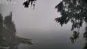 ./images/koeye/fitz-hugh/20260821/fitz-hugh20260821_113502M.jpg
