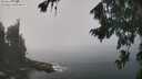 ./images/koeye/fitz-hugh/20260821/fitz-hugh20260821_125002M.jpg