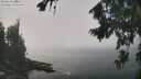 ./images/koeye/fitz-hugh/20260821/fitz-hugh20260821_125501M.jpg