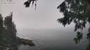 ./images/koeye/fitz-hugh/20260821/fitz-hugh20260821_131001M.jpg