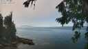 ./images/koeye/fitz-hugh/20260821/fitz-hugh20260821_132501M.jpg