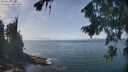 ./images/koeye/fitz-hugh/20260821/fitz-hugh20260821_133001M.jpg