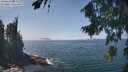 ./images/koeye/fitz-hugh/20260821/fitz-hugh20260821_133501M.jpg
